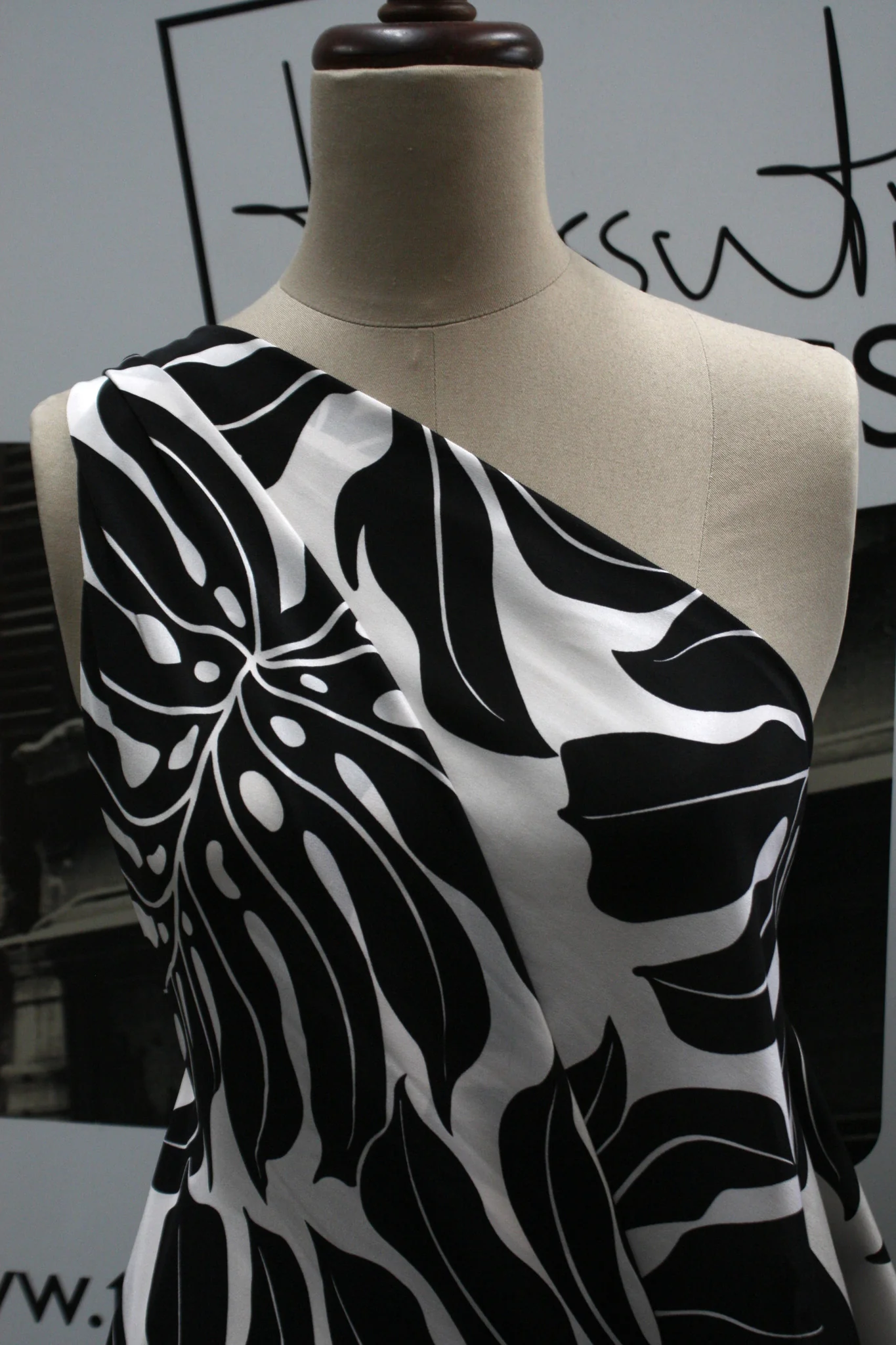 Coconut Palm - Image 5