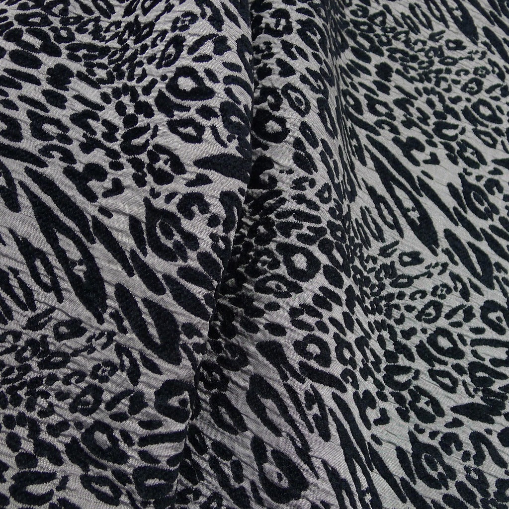 Cool Cat - Image 3