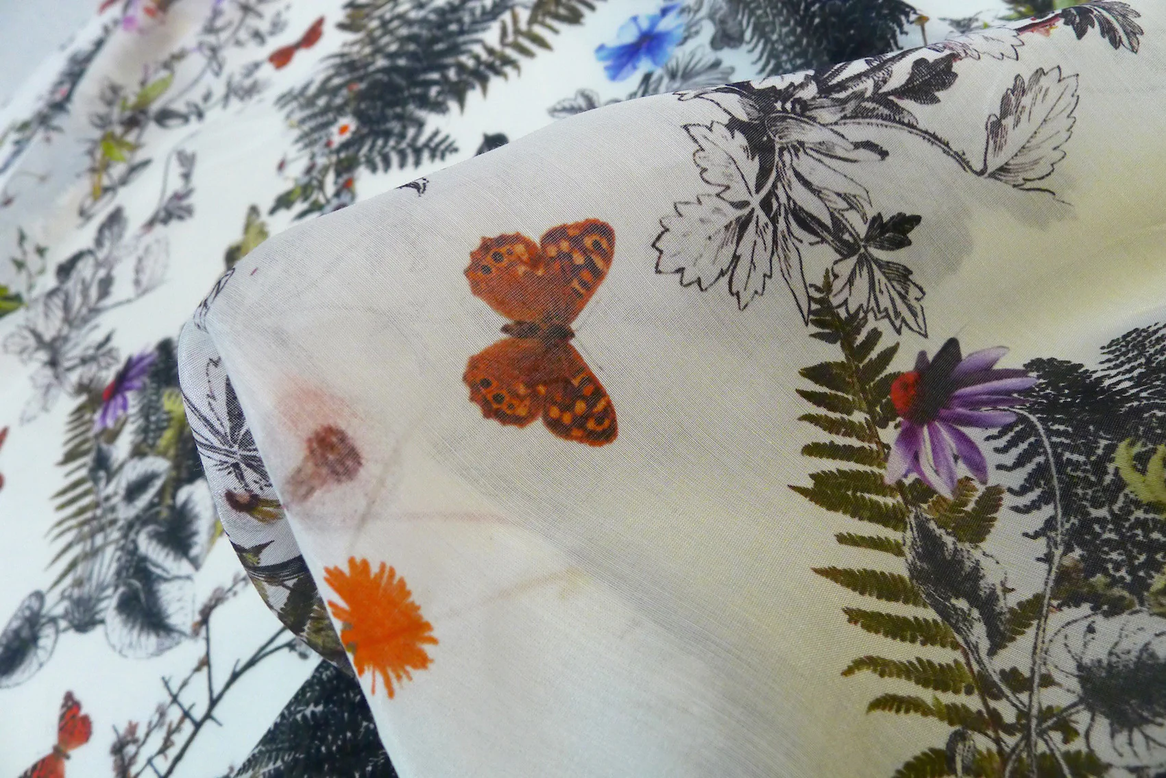 Botanical Dream