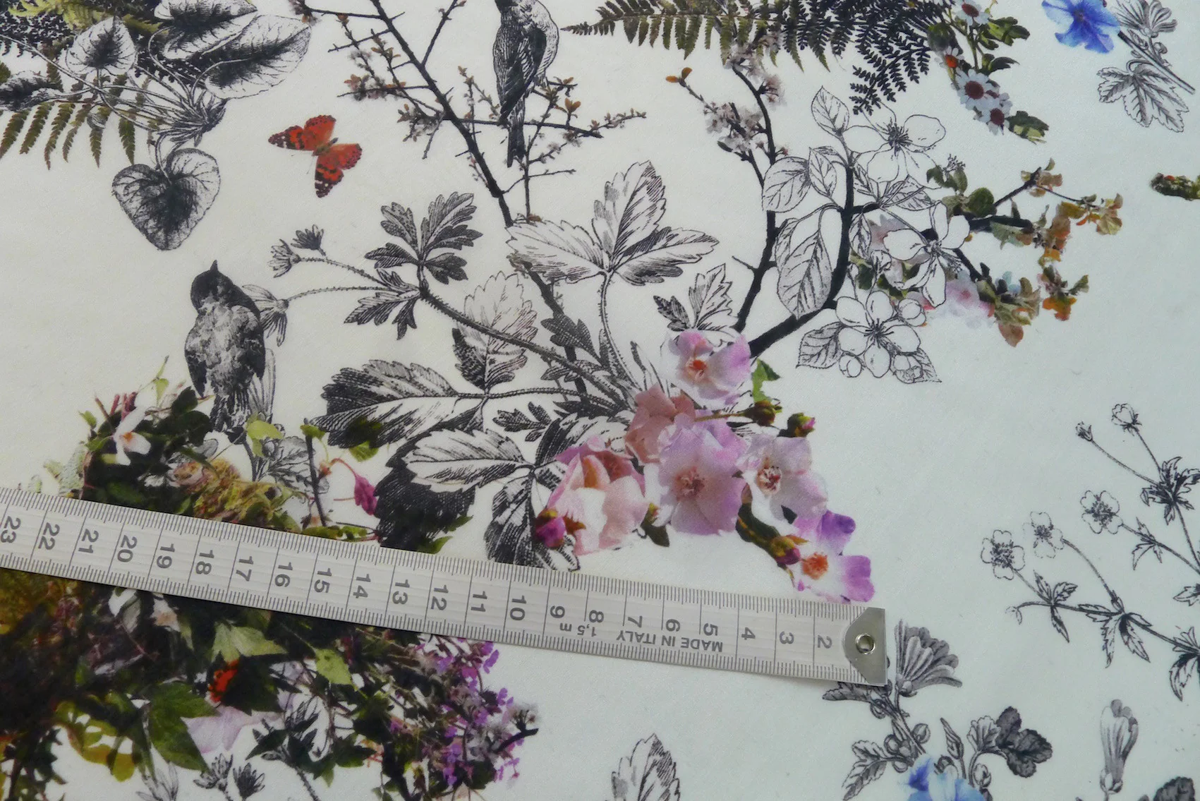 Botanical Dream - Image 3
