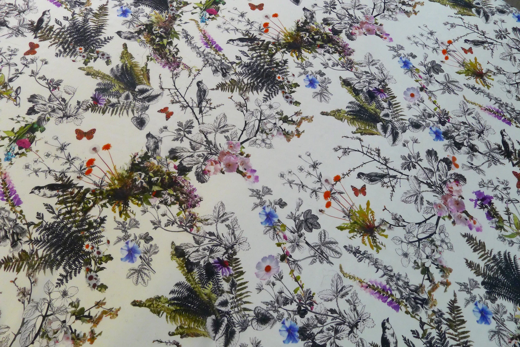 Botanical Dream - Image 4