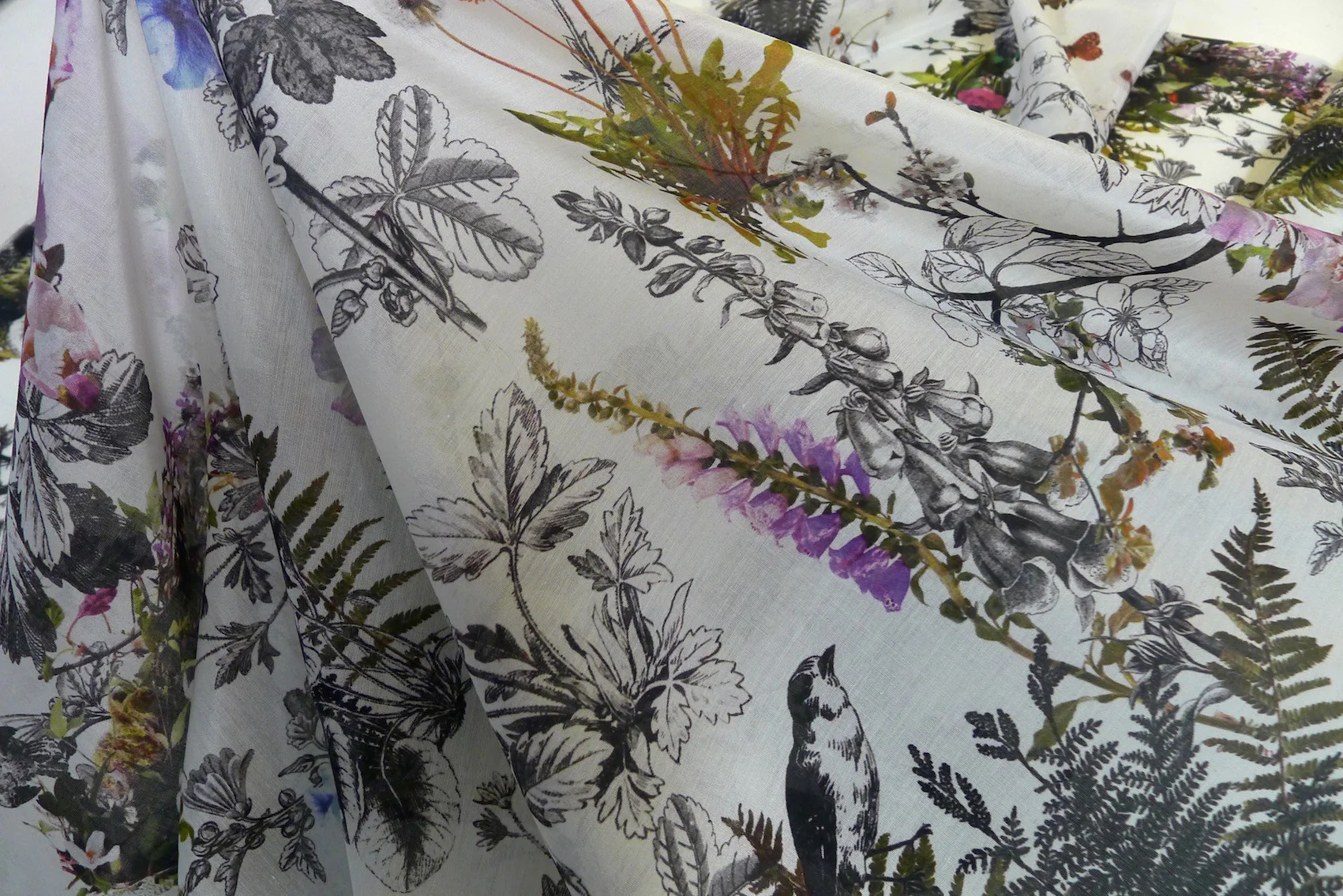 Botanical Dream - Image 5
