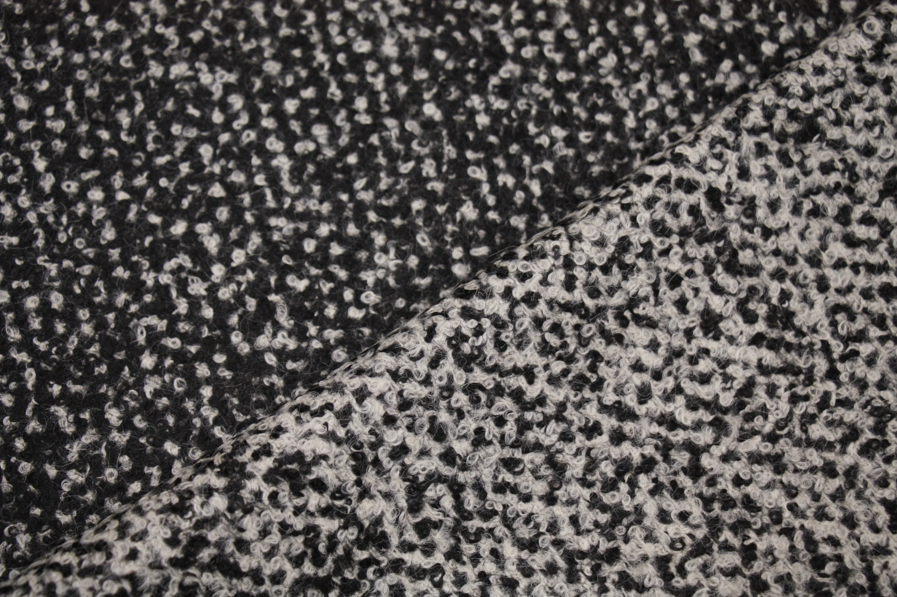 Curls in B & W - Image 2