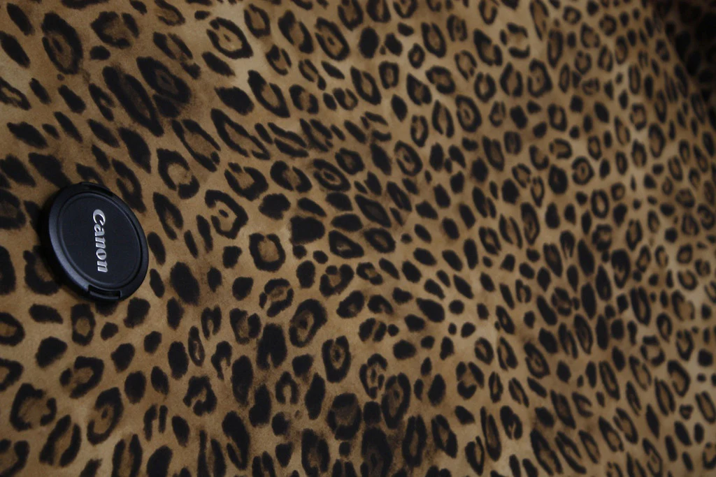 Dancing Leopards - Image 2