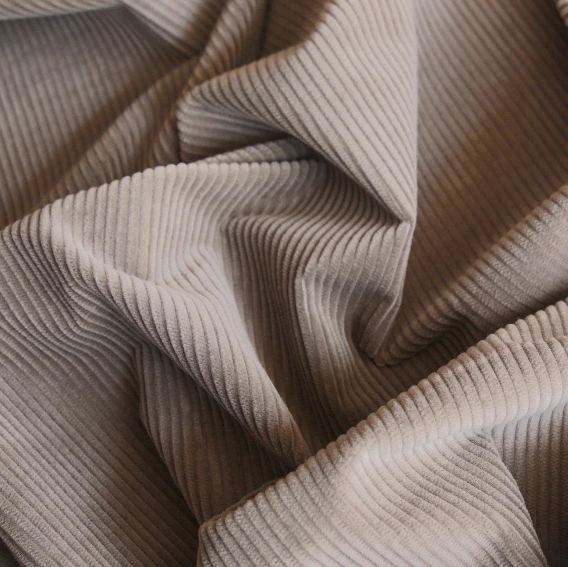Corded Almond - Jumbo Corduroy - Image 2