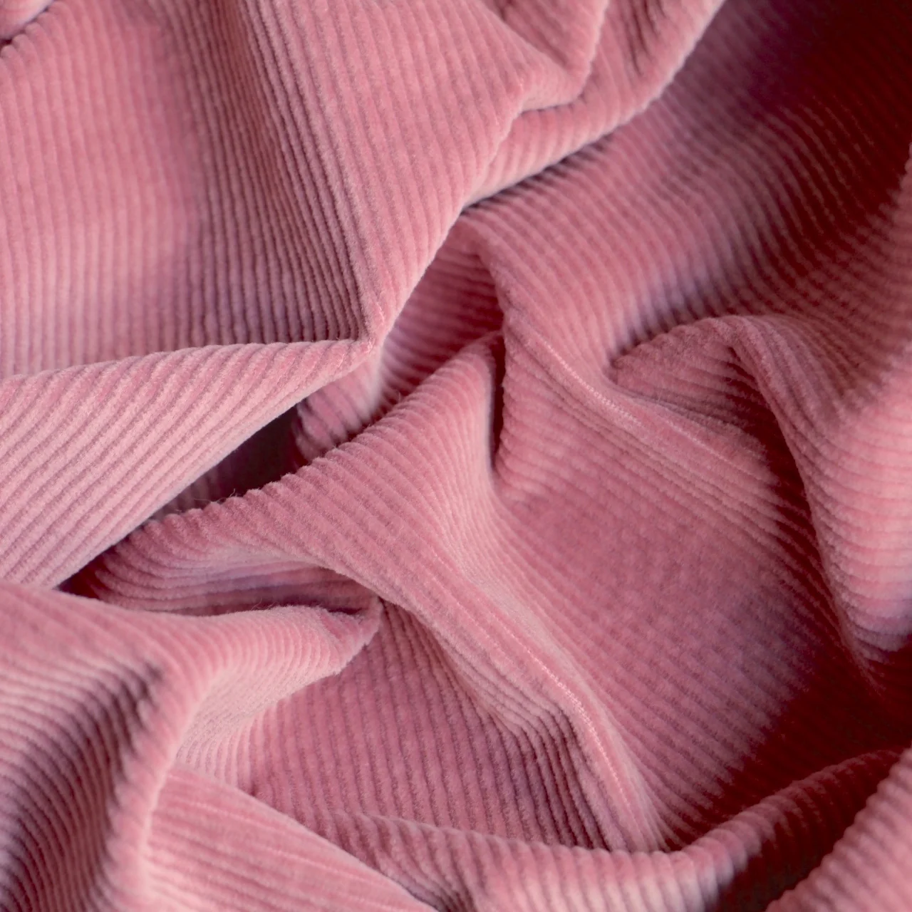 Corded Bubblegum - Stretch Corduroy - Image 2
