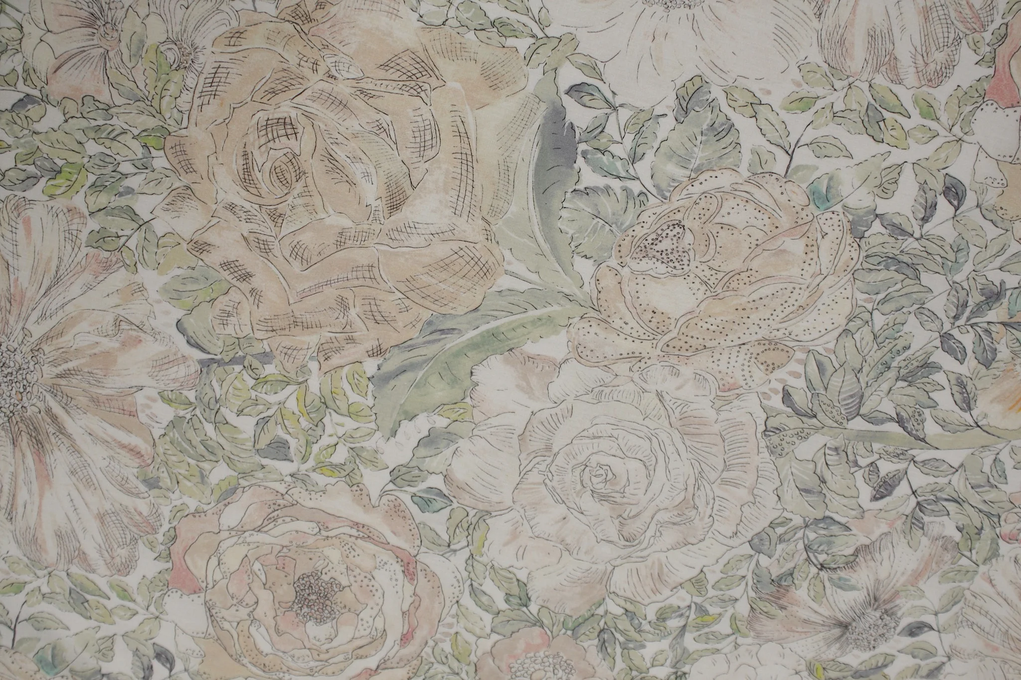 Cream Rose Xanthe - Image 2