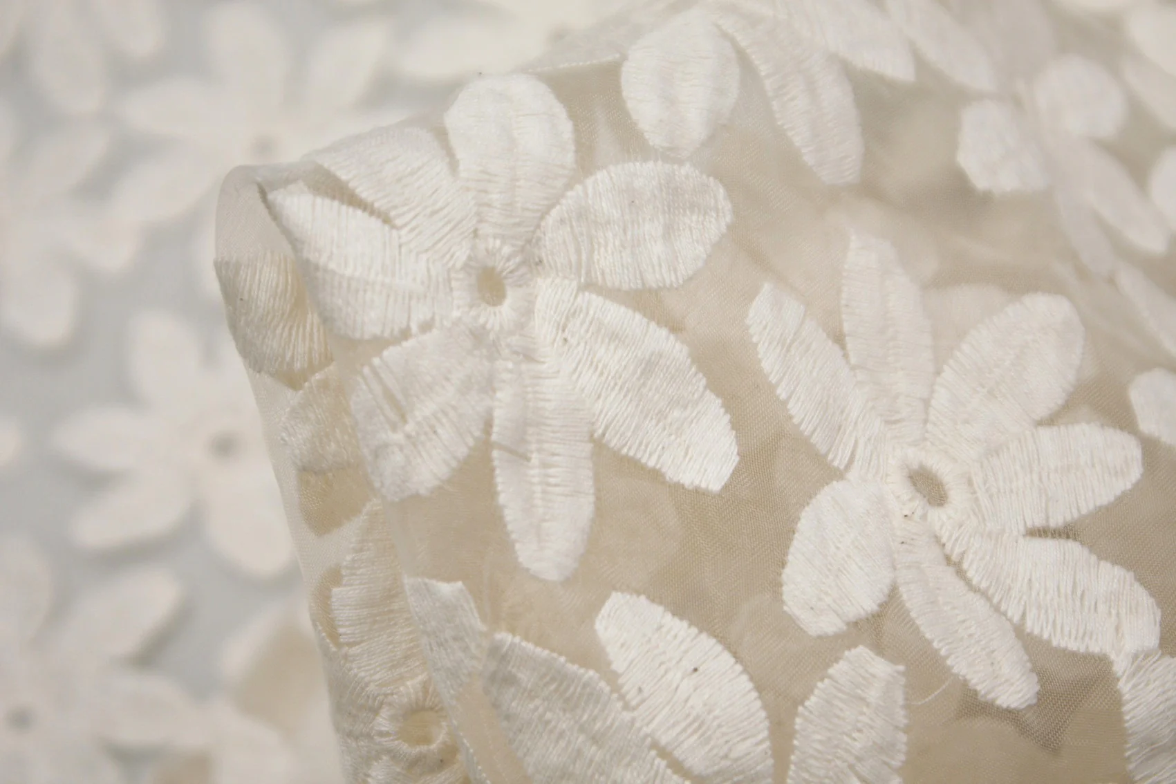 Daisy Cream
