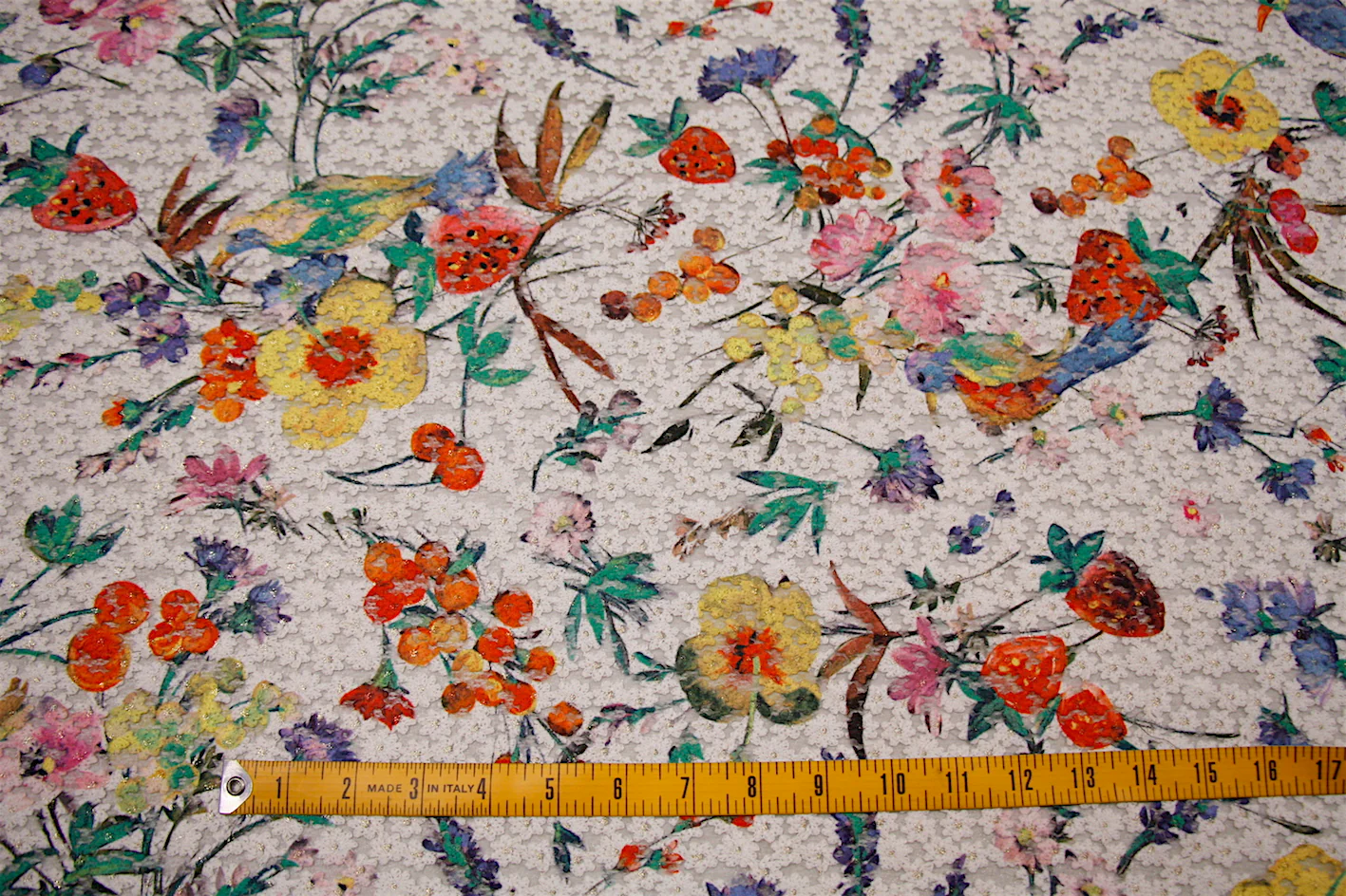 Daisy Paradise - Image 2