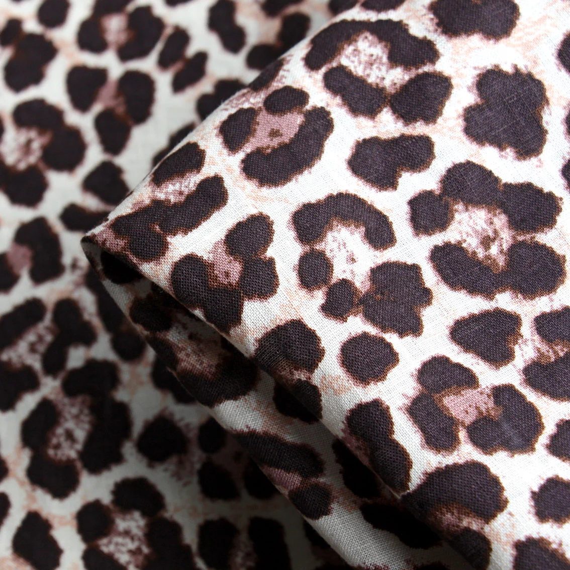 Dark Spotted Leopard