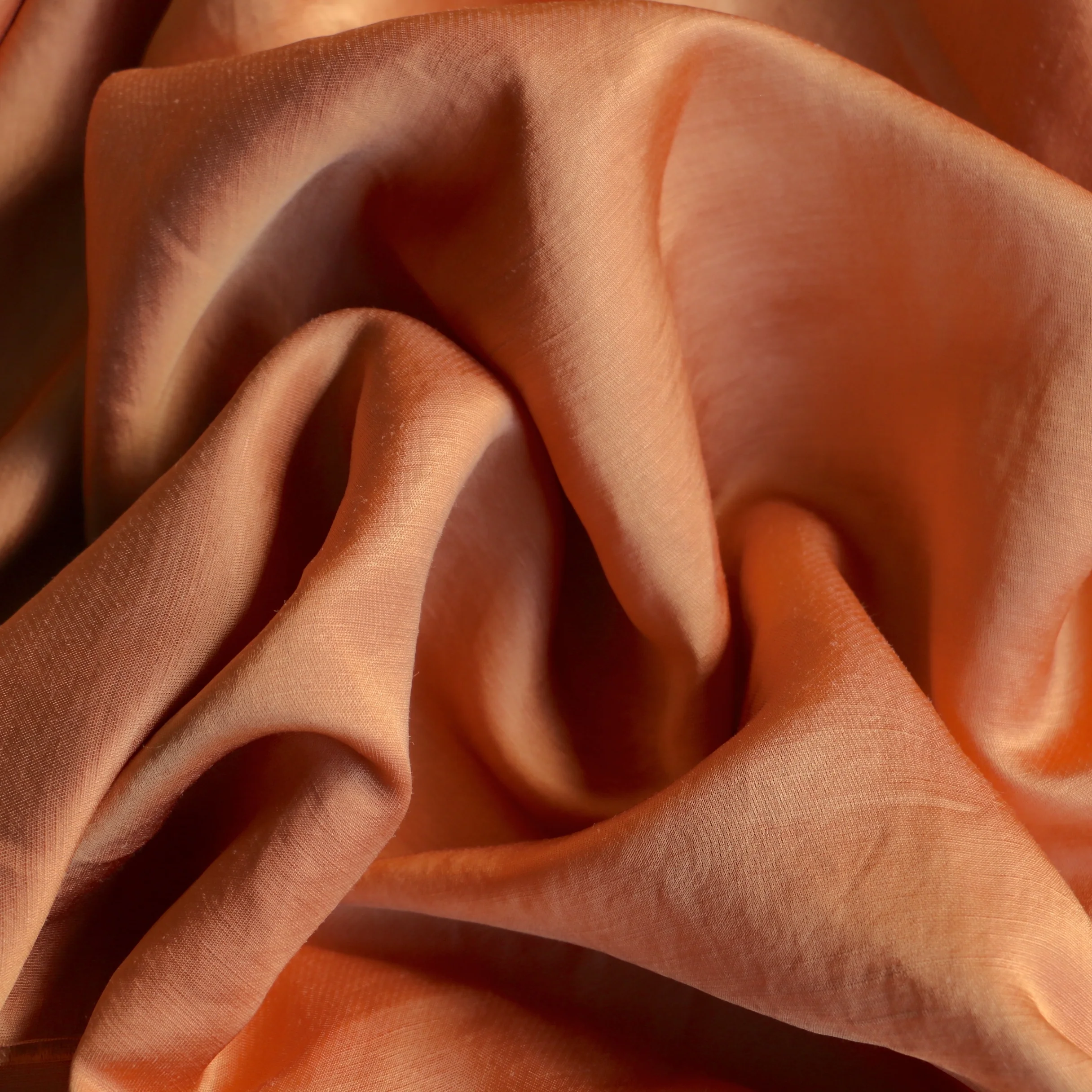 Dawn Bronze - Image 2