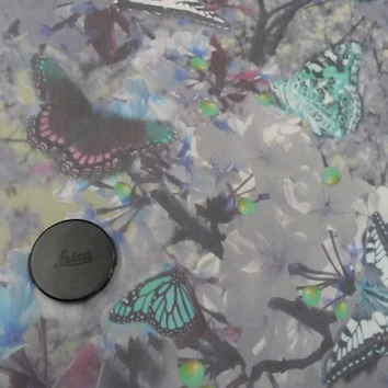 Digital Butterfly - Image 2