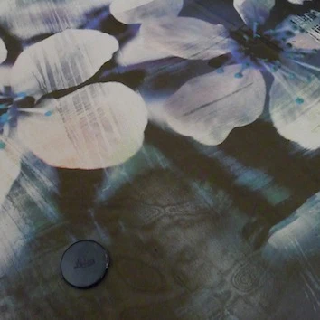 Digital Frangipani - Image 2