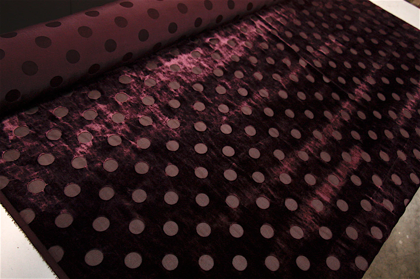 Disappearing Purple - Image 4