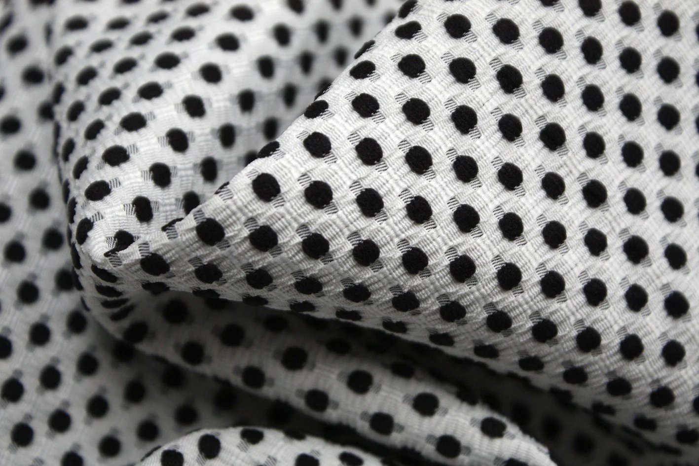 Dot Noir