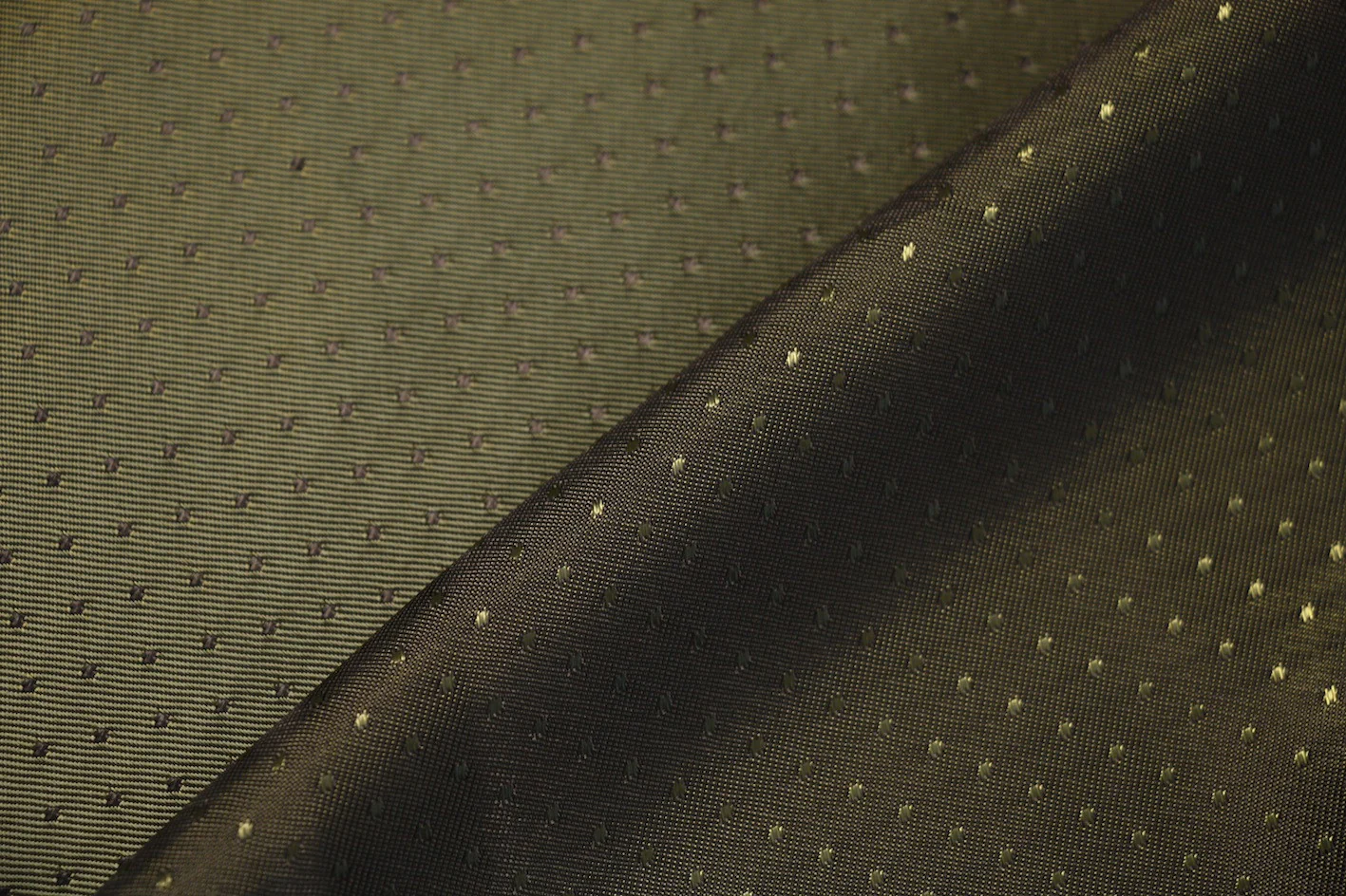 Dotted Pickle - Image 2