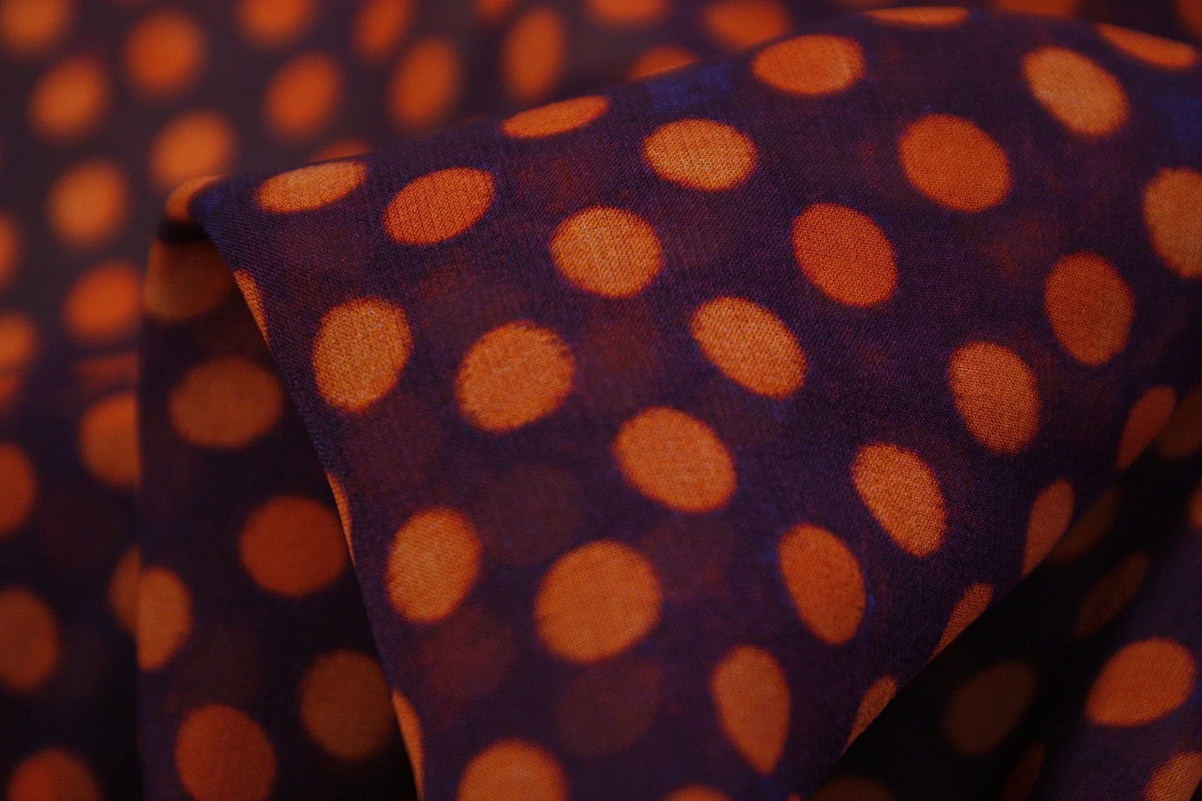 Dotty Dot
