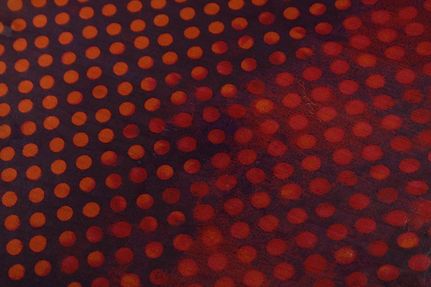 Dotty Dot - Image 2