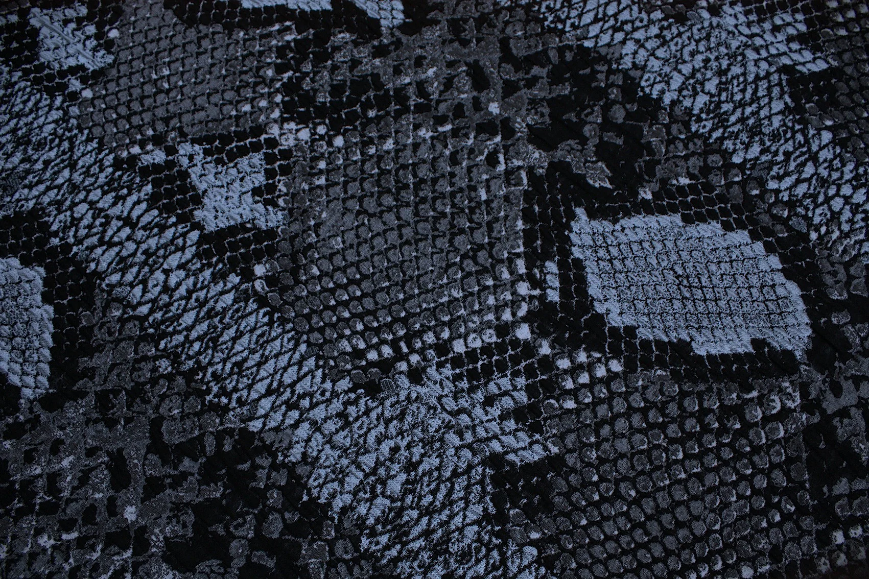 Electric Blue Snake - Image 2