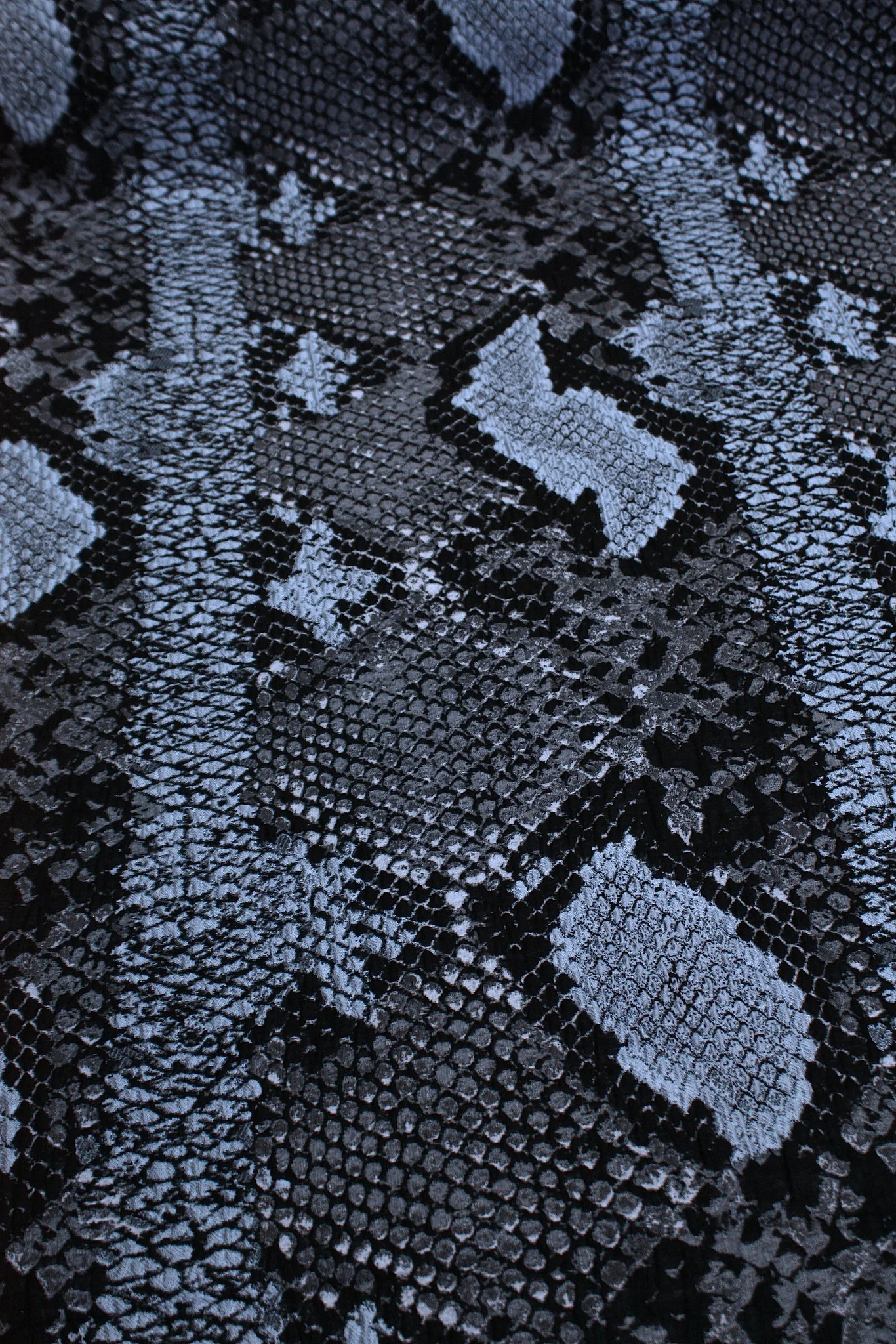 Electric Blue Snake - Image 3
