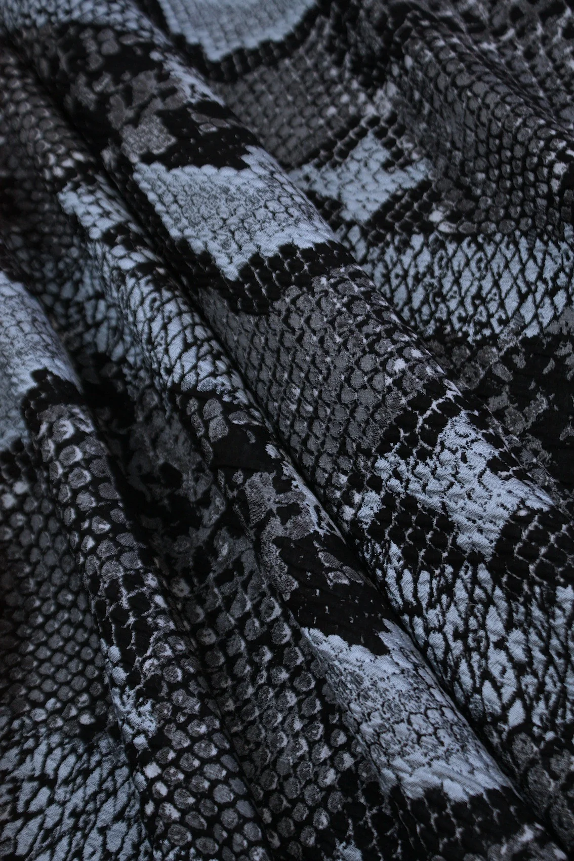 Electric Blue Snake - Image 4