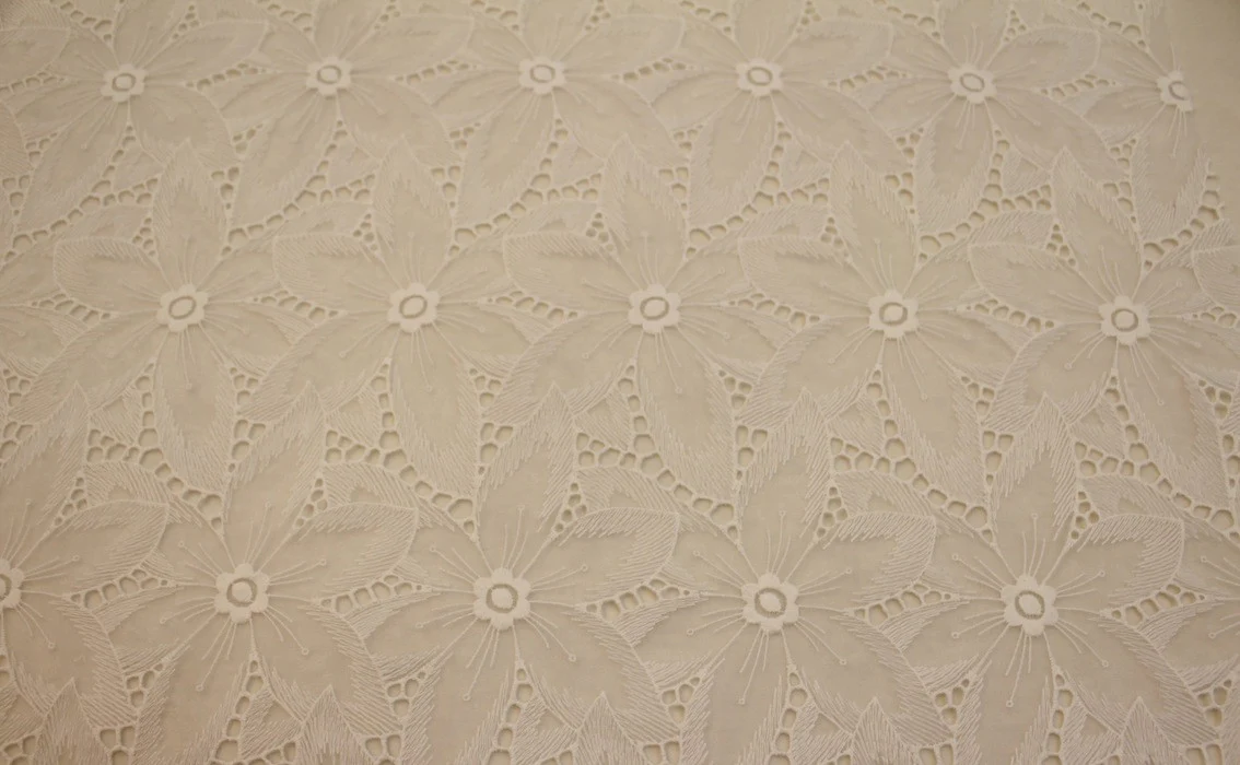 Embroidered Organza Offwhite/Beige - Image 2