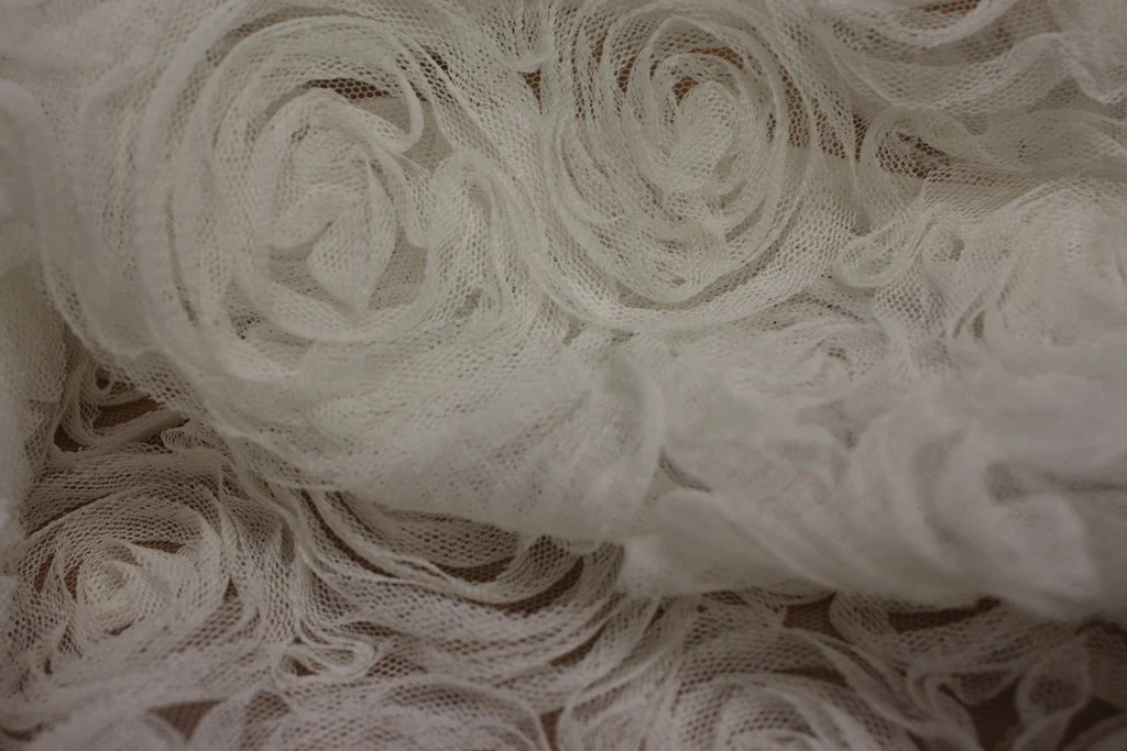 Embroidered Tulle - Ivory