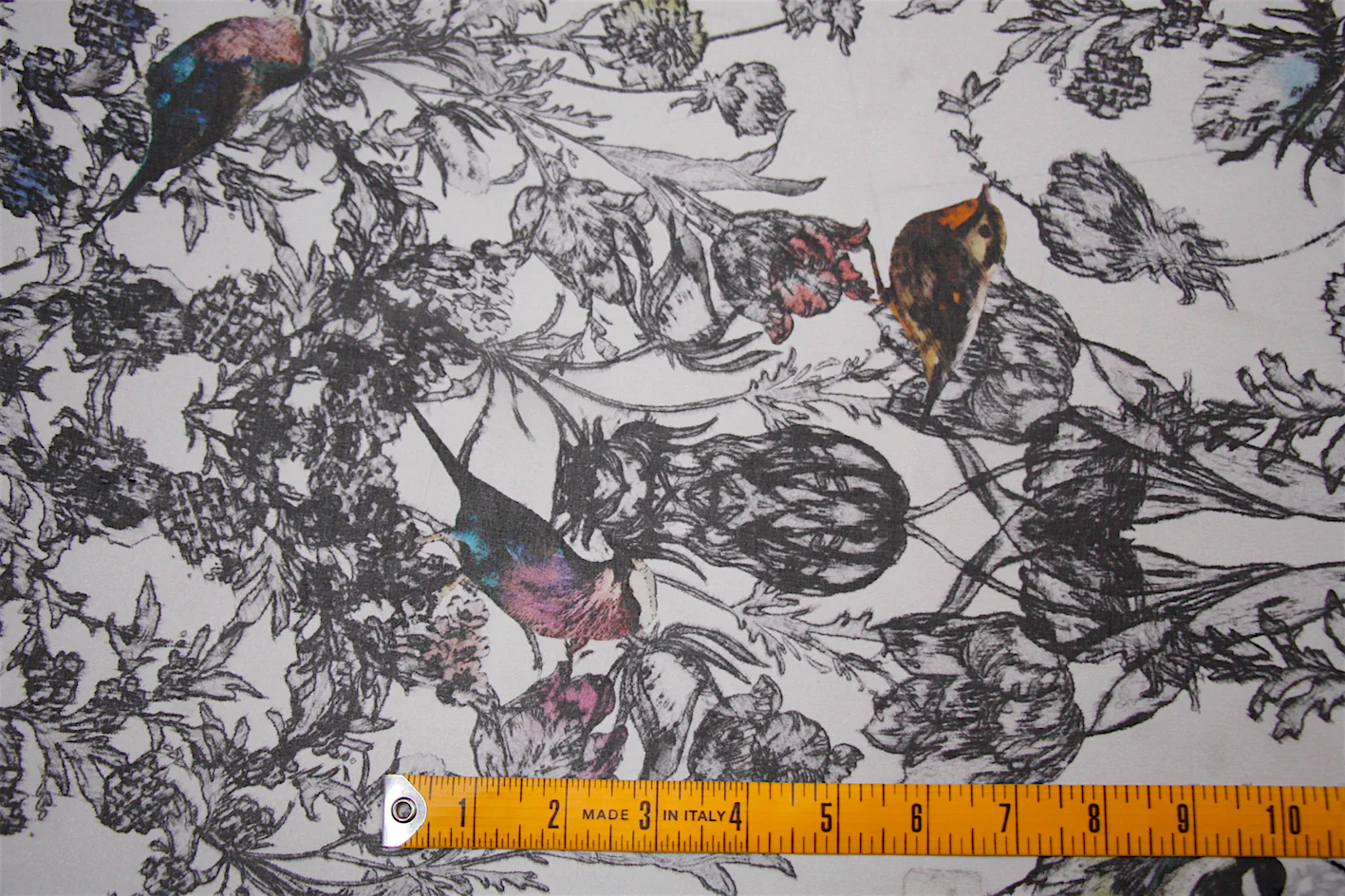 Etched Finches - Image 2