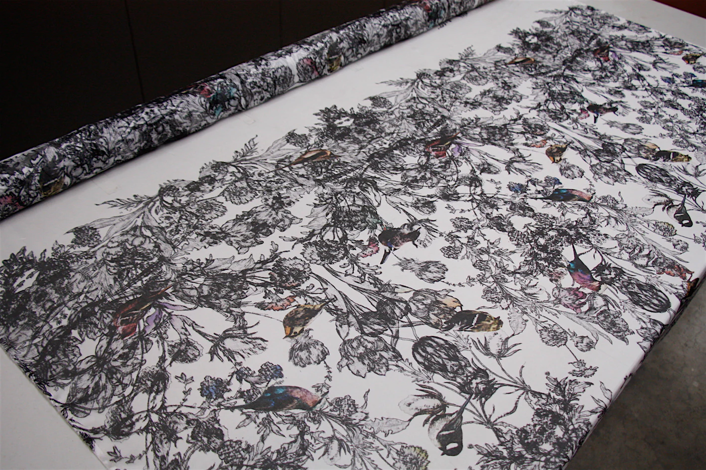 Etched Finches - Image 4