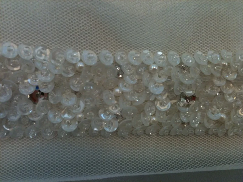 Fancy Sequin Trim - SSD 395