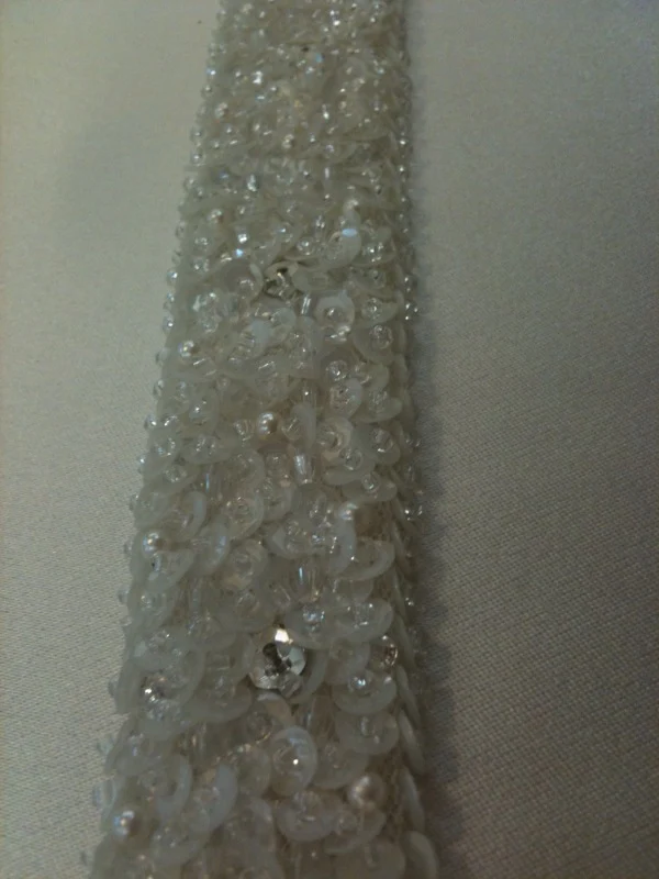 Fancy Sequin Trim - SSD 395 - Image 2