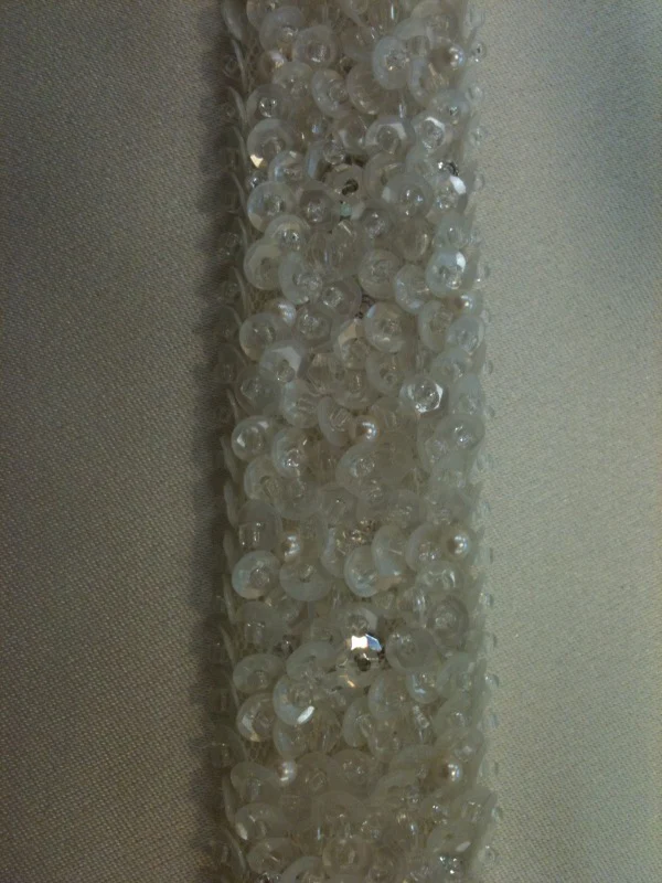 Fancy Sequin Trim - SSD 395 - Image 3