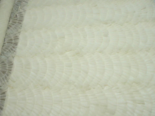 Fantail Ivory - Image 3