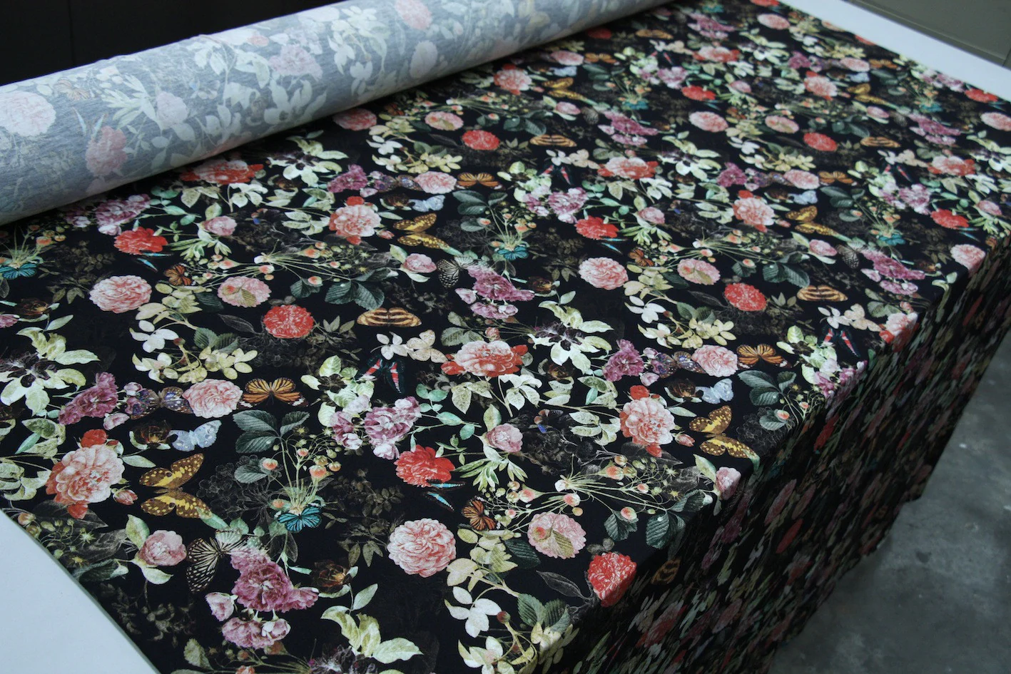 Farfalla Dream - Image 4