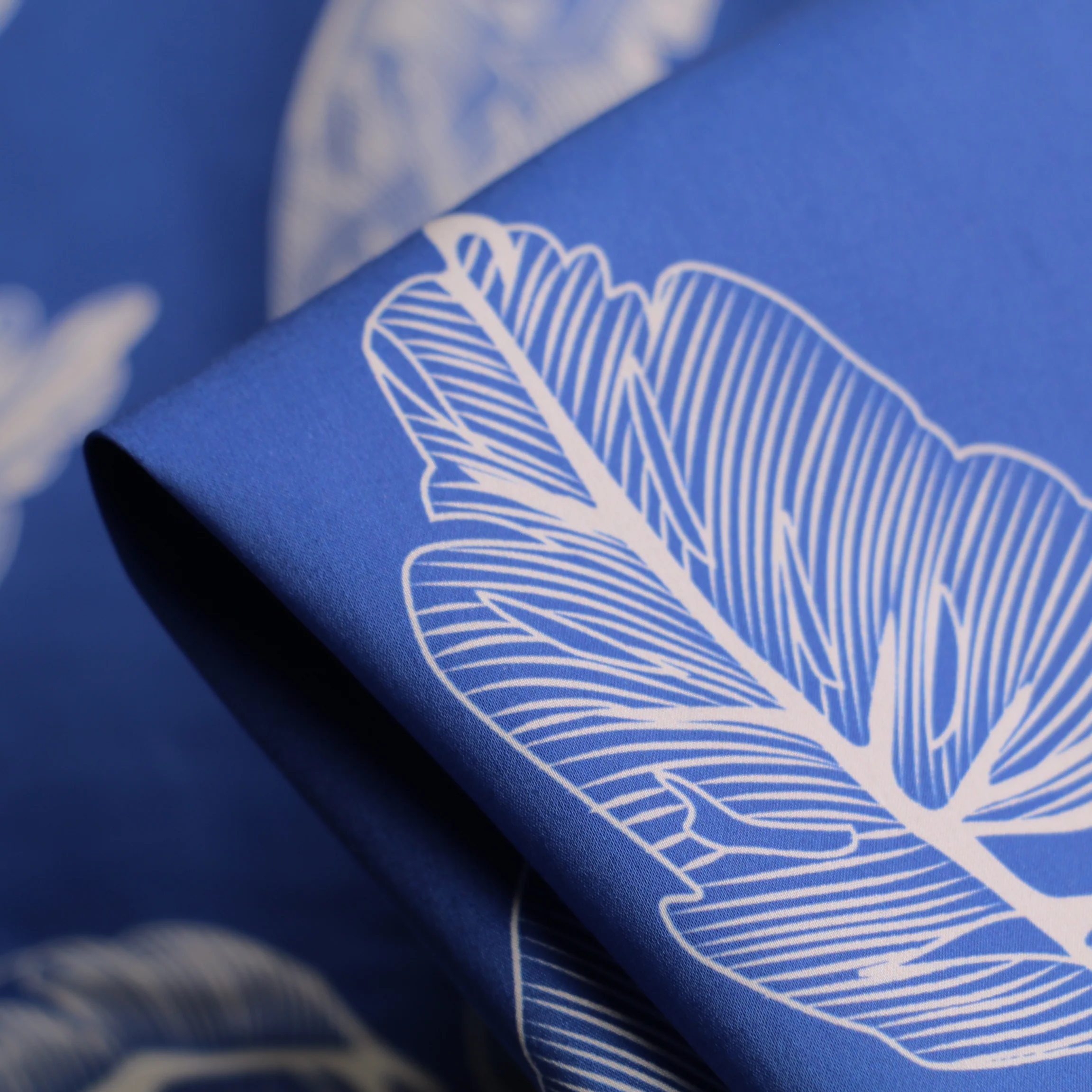 Feather Leaf