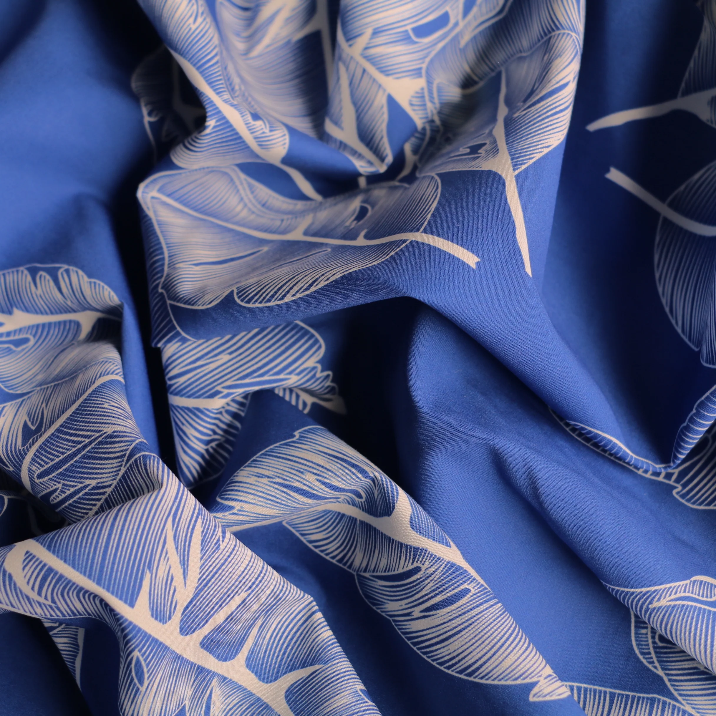 Feather Leaf - Image 2