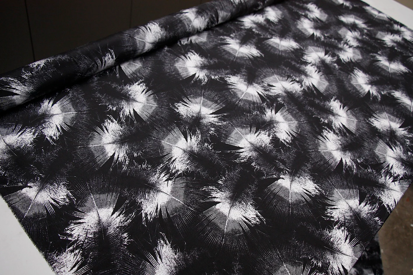 Feathers In The Night - Image 3