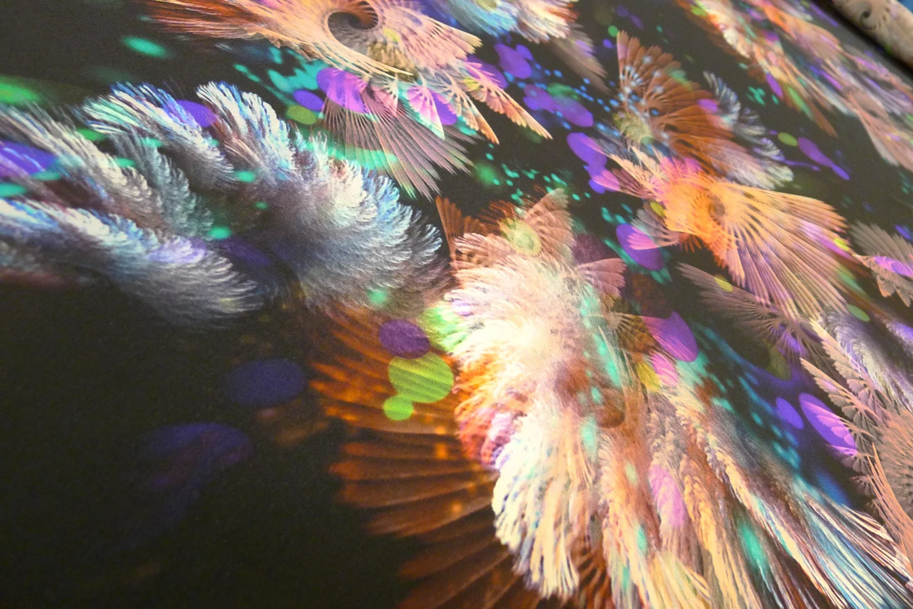 Flight Of Fancy - Image 2