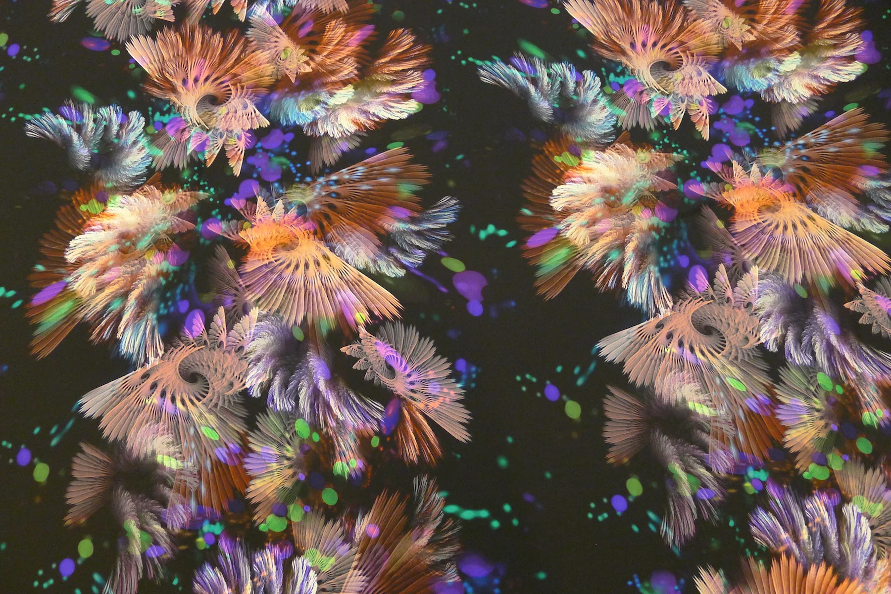 Flight Of Fancy - Image 3