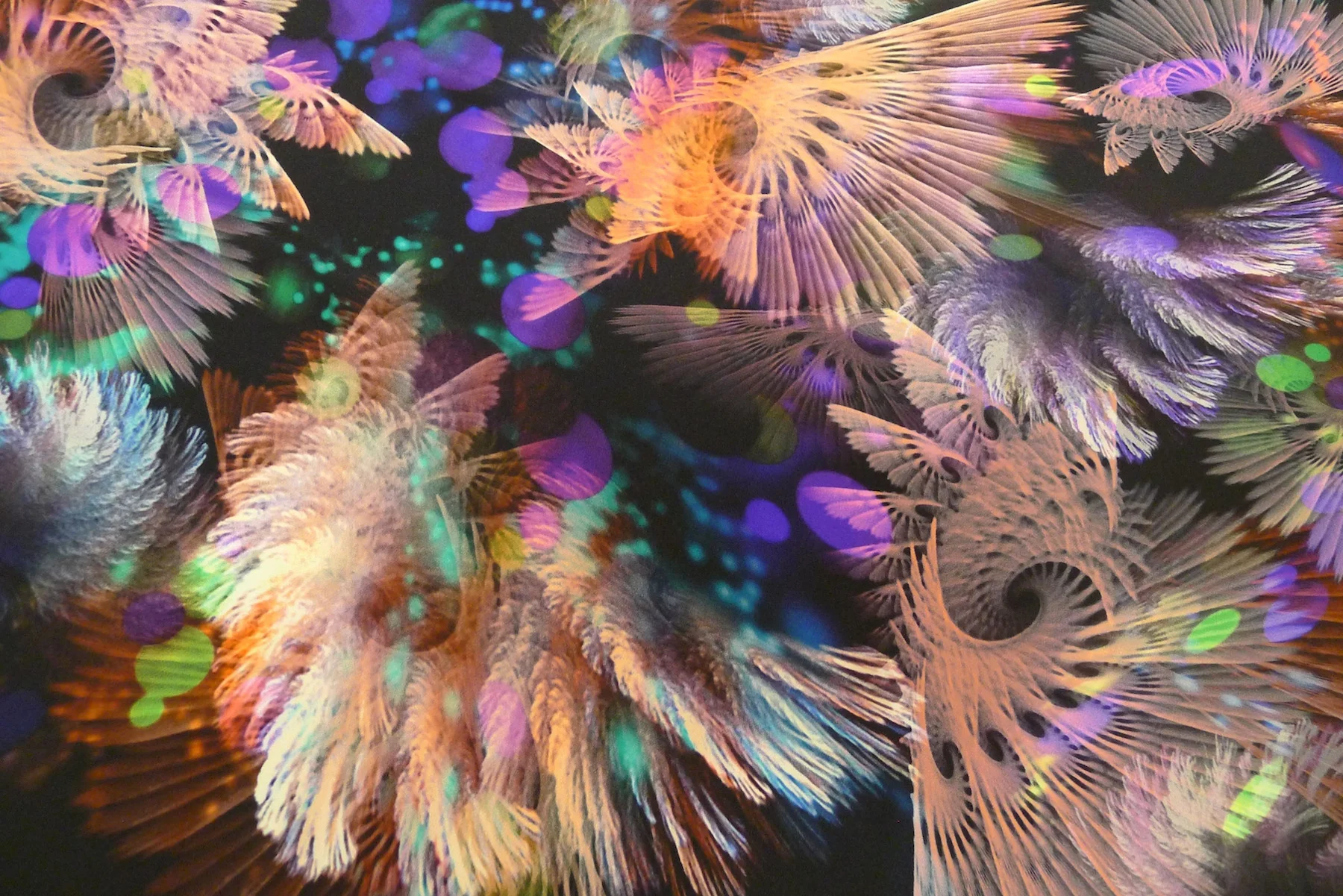 Flight Of Fancy - Image 4