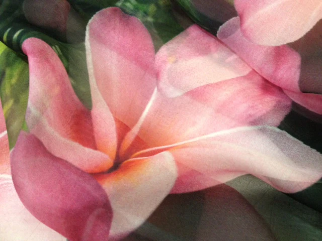 Frangipani Paradise - Image 3