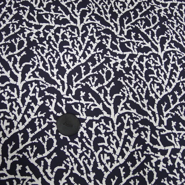 Frosted Twig - Image 2