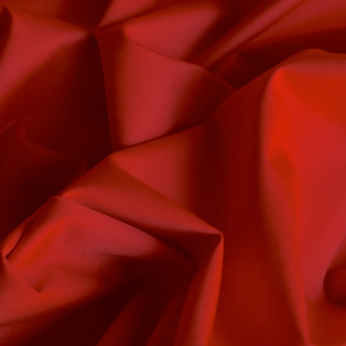 Gaggiano Red Stretch Cotton - Image 2