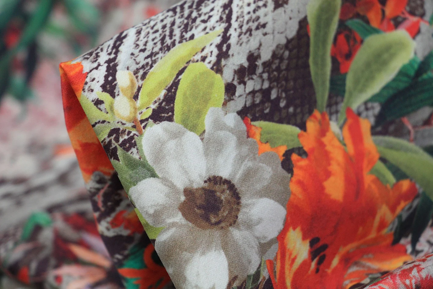 Garden Snake - Panel print