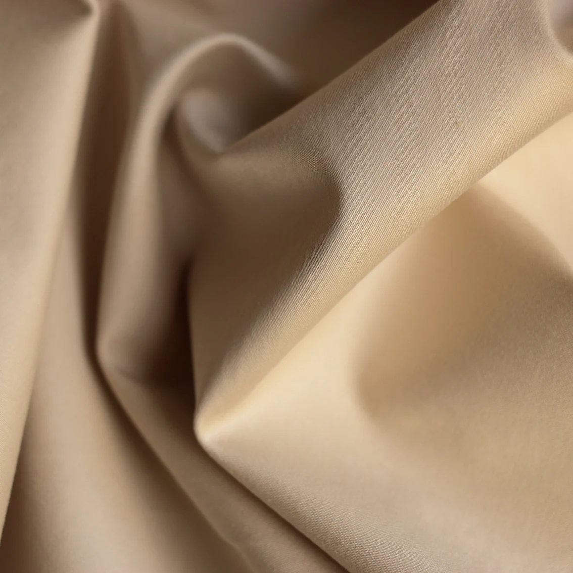 Gatti Latte Stretch Cotton - Image 2