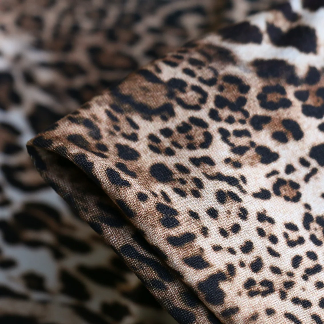 Gatto Cocoa Jersey