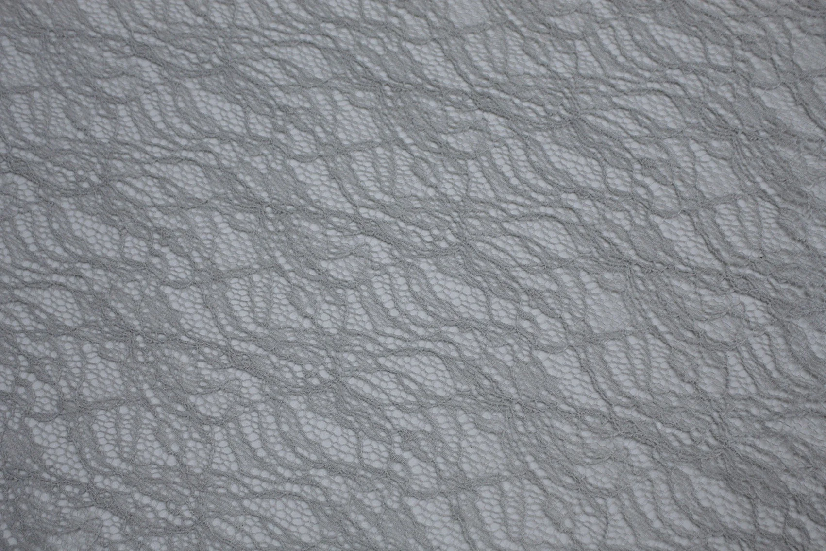 Ghost Web - Image 2