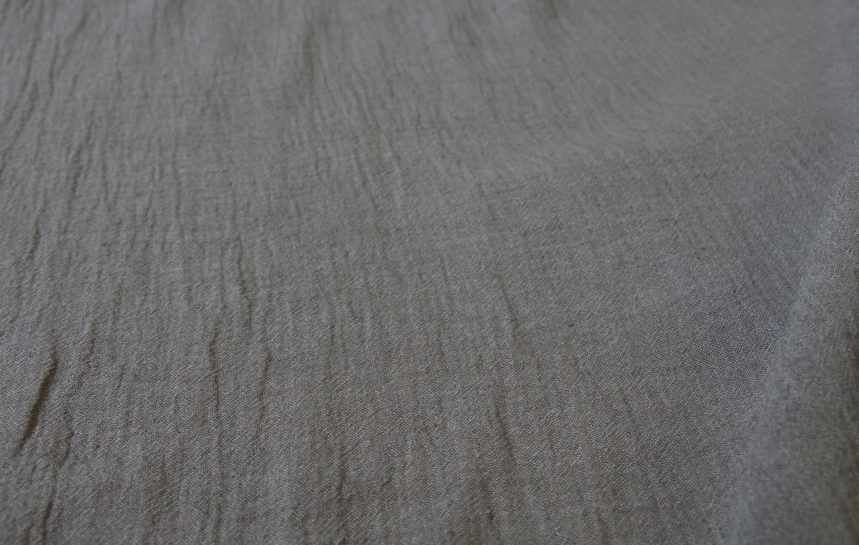 Grey Giolica - Image 3