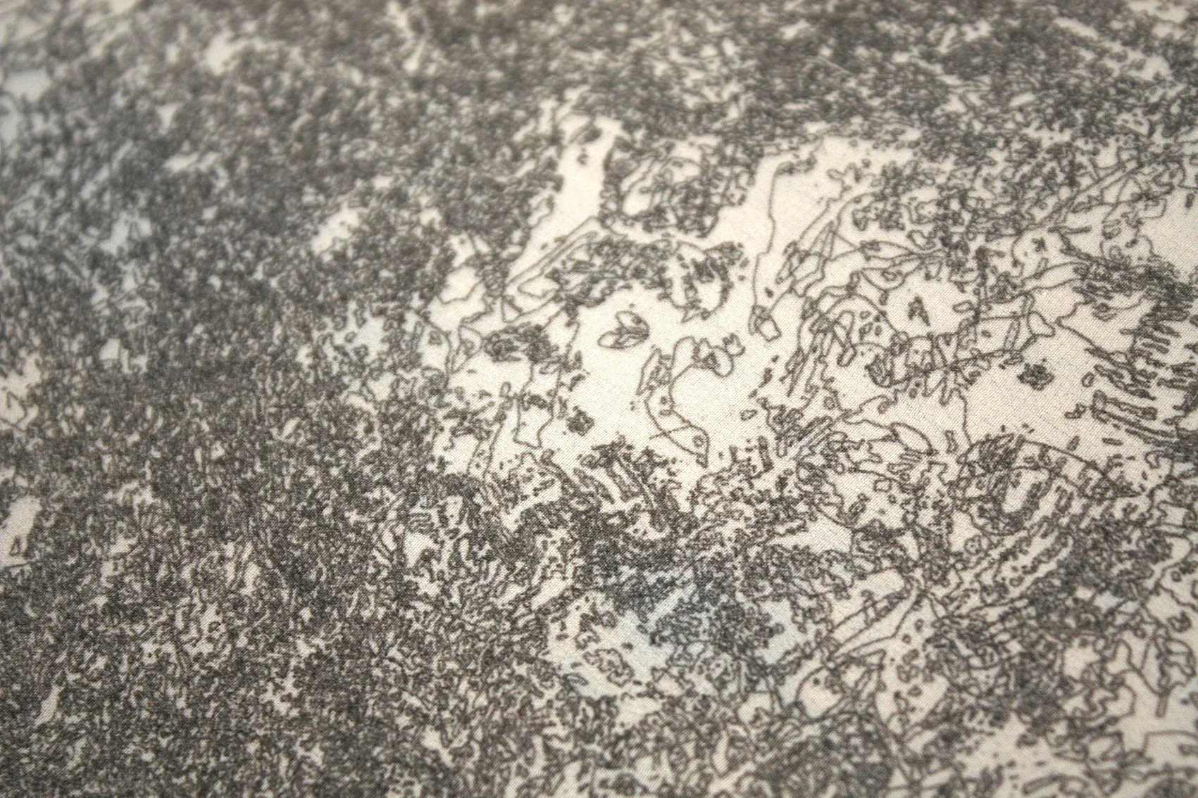 Greyscale Fine Print