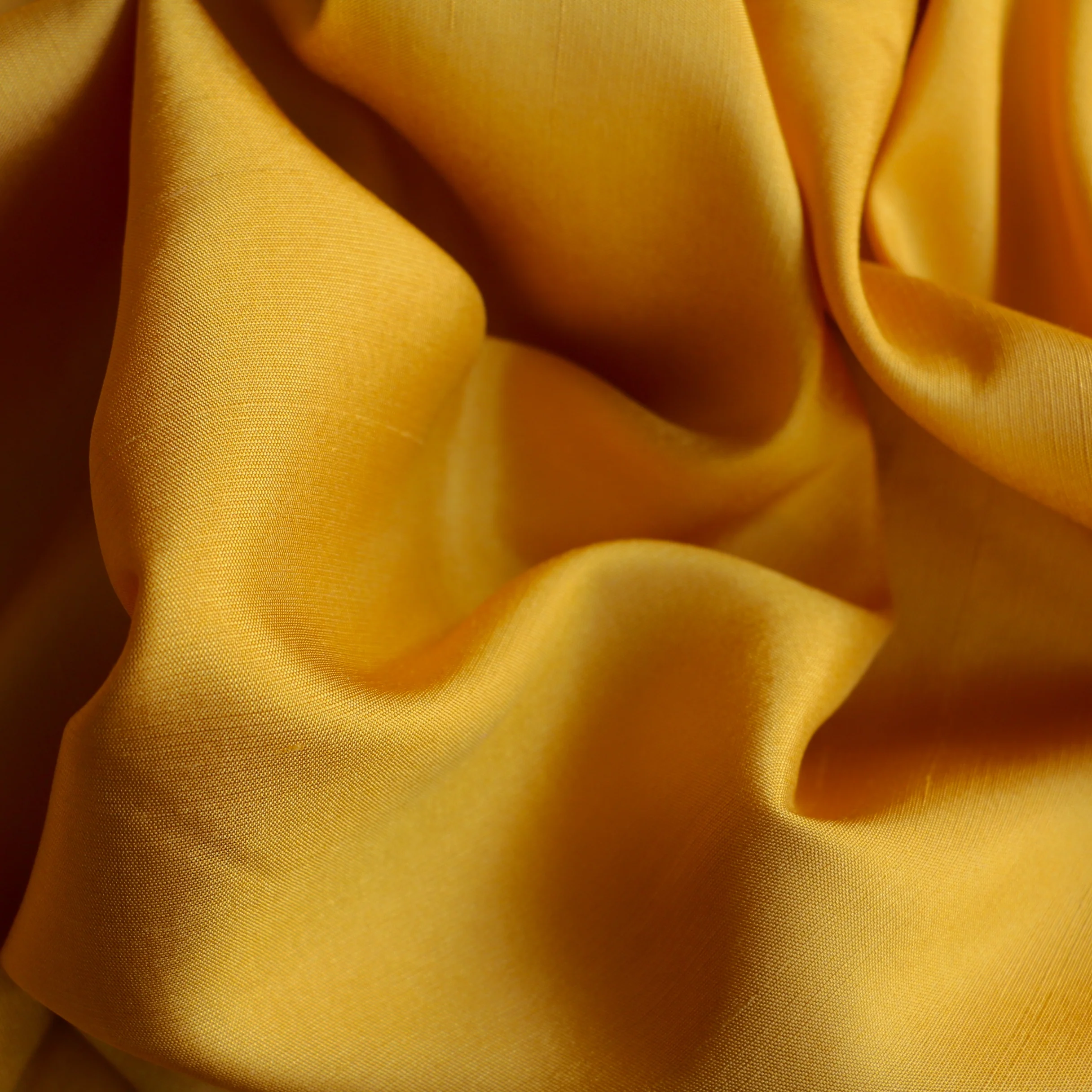 Harvest Gold - Image 2